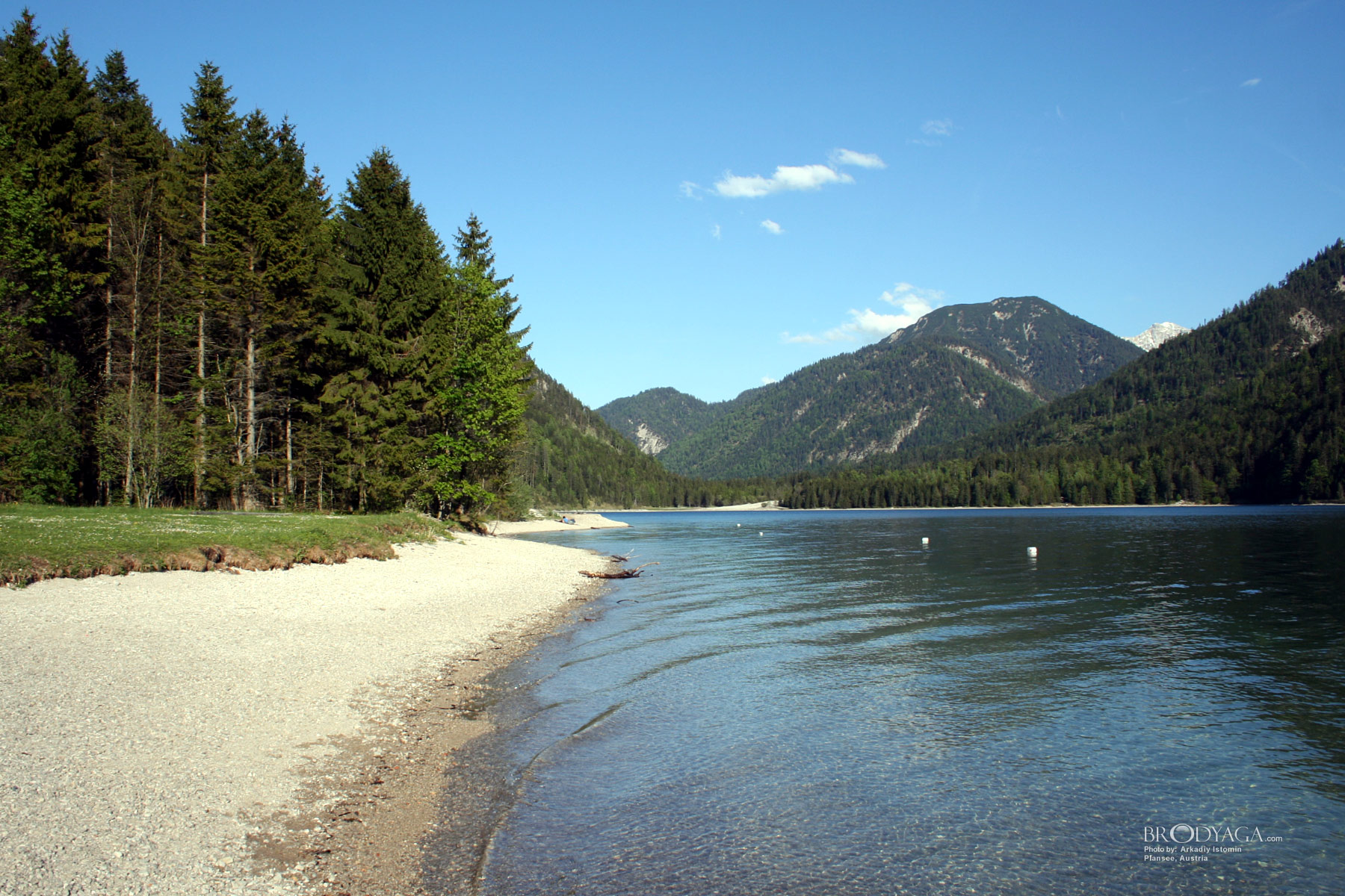 Plansee